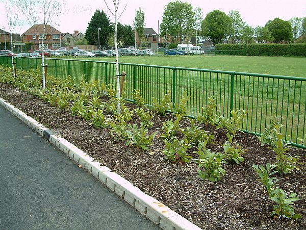 School Railings in Street.Brookside School, Somerset